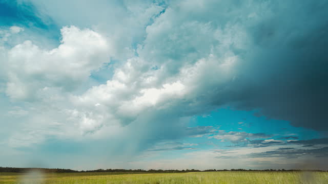 4K Sky During Rain Horizon Above Rural Wheat Landscape Field. Agricultural And Weather Forecast Concept. Storm, Thunder, thunderstorm, stormclouds, Time Lapse, Timelapse, Time-lapse. Countryside Meadow In Summer Rainy Day, stormclouds.