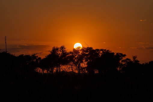 Beautiful sunset in the African savanna.
