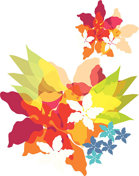 illustrazioni stock, clip art, cartoni animati e icone di tendenza di tropics fiori - cuban ethnicity illustrations