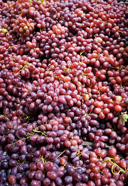 uva sfondo rosso - grape red grape red farmers market foto e immagini stock