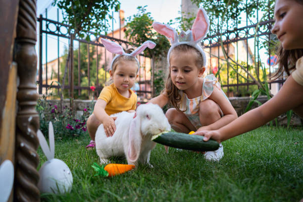 istock Sisters feeding rabbits with cucumber, during an Easter celebration 1591896438