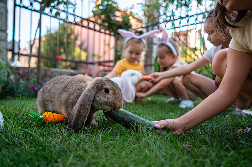 Caucasian sisters feeding rabbits with cucumber and carrot, during an Easter celebration