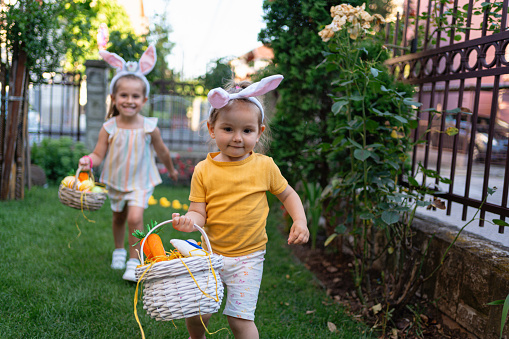 In the garden, Caucasian sisters together collecting Easter egg, during an Easter egg hunt