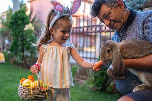 Caucasian toddler girl feeding rabbit with carrot, while holding an Easter basket with eggs\nHer grandfather holding the rabbit