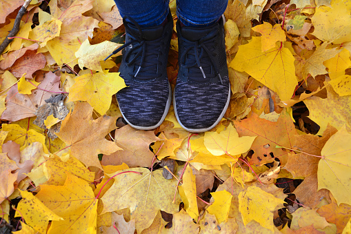 woman in black trainers staying on the yellow autumn leaves