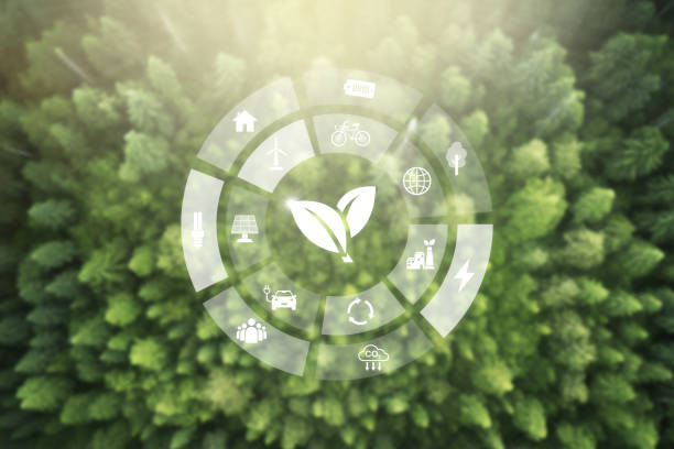 istock net zero target and carbon credit.CO2 emission reduction to stop global warming problem and reduce pollution into atmosphere from big industrial. 1591909305