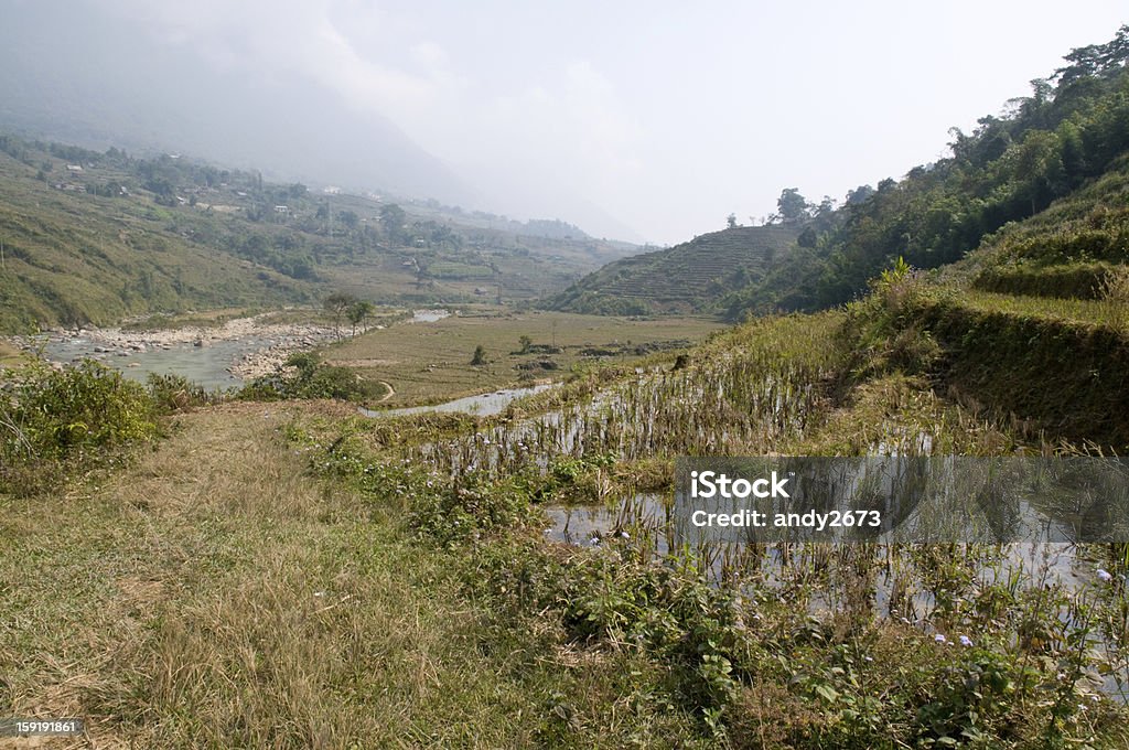 Campiña Sapa, Vietnam - Foto de stock de Agricultura libre de derechos