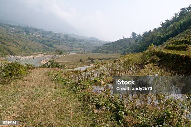 Campiña Sapa Vietnam Foto de stock y más banco de imágenes de Agricultura - Agricultura, Aire libre, Asia