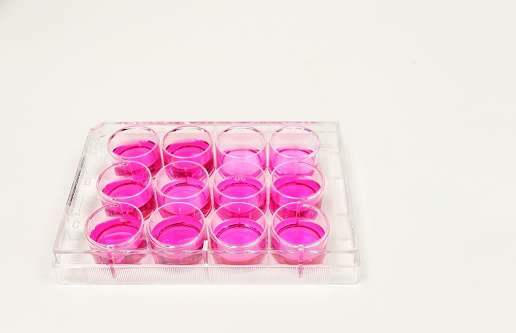 A cell culture dish on a white background. Space for text