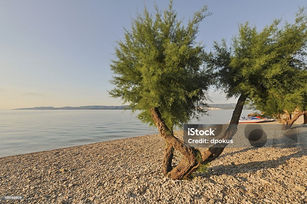Croazia spiaggia e mare - Foto stock royalty-free di Ambientazione esterna