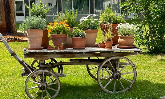 Cart with flowers and planters standing on a meadow