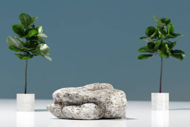 식물이 있는 자연 암석 연단 장면 모형 - sink bathroom pedestal tile 뉴스 사진 이미지