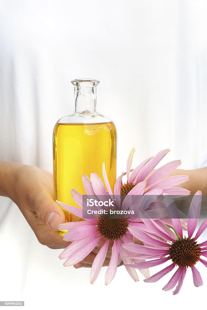 Mãos da jovem mulher, segurando óleo essencial e coneflowers frescos - Foto de stock de Aromaterapia royalty-free