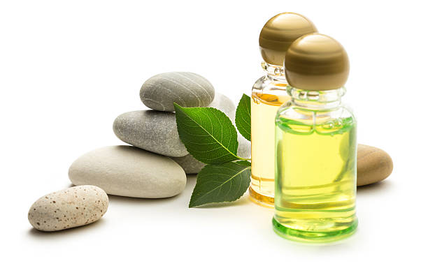 istock Stones, leaves and shampoo bottles 159195014