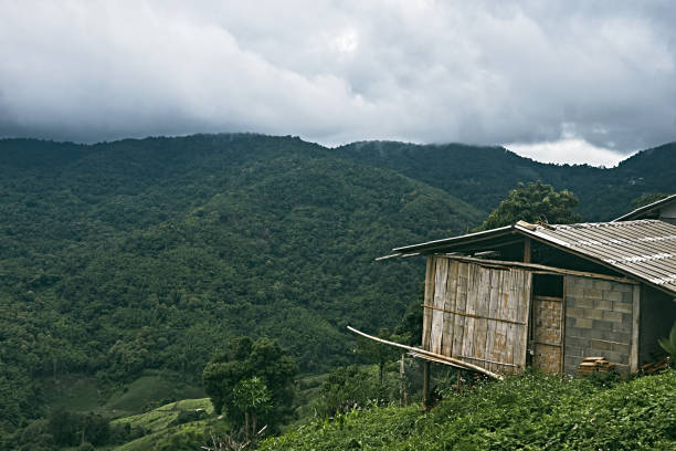 istock Green Season mountains in morning 1591951312