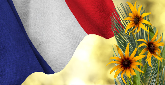 Image of the flag of France waving in the wind and beautiful festive colors