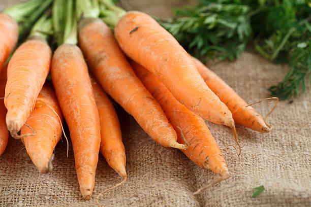istock Fresh carrot with green tops 159203811
