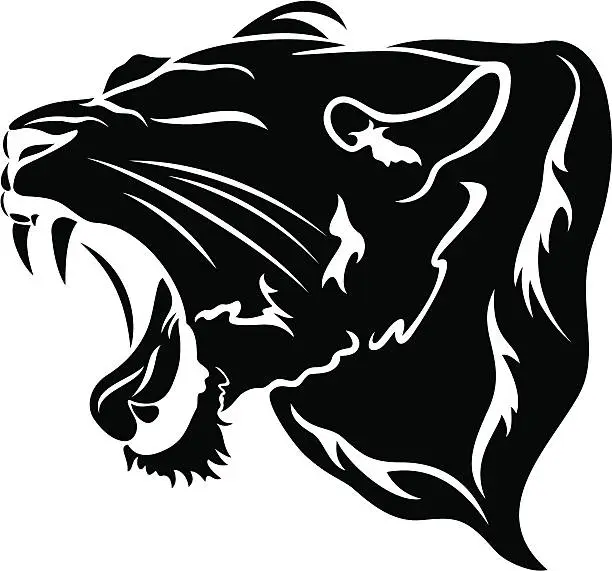Vector illustration of panther head