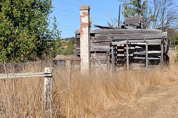 istock An abandoned building in tall grass 159204787