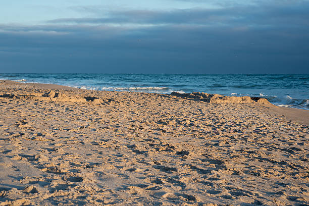 istock Cape Canaveral National Seashore 159205532