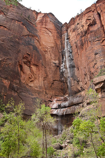 Waterfall at Weeping Rock Zion Canyon is a unique and different experience than the Grand Canyon. At Zion, you are standing at the bottom looking up where at the Grand Canyon you are at the top looking down. Zion Canyon is mostly made up of sedimentary rocks, bits and pieces of older rocks that have been deposited in layers after much weathering and erosion. These rock layers tell stories of an ancient ecosystem very different from what Zion looks like today. About 110 – 200 million years ago Zion and the Colorado Plateau were near sea level and were close to the equator. Since then they have been uplifted and eroded to form the scenery we see today. Zion Canyon has had a 10,000-year history of human habitation. Most of this history was not recorded and has been interpreted by archeologists and anthropologist from clues left behind. Archeologists have identified sites and artifacts from the Archaic, Anasazi, Fremont and Southern Paiute cultures. Mormon pioneers settled in the area and began farming in the 1850s. Today, the descendants of both the Paiute and Mormons still live in the area. On November 19, 1919 Zion Canyon was established as a national park. Like a lot of public land, the Zion area benefited from infrastructure work done during the Great Depression of the 1930’s by government sponsored organizations like the Civil Works Administration (CWA) and the Civilian Conservation Corps (CCC). During their nine years at Zion the CWA and CCC built trails, parking areas, campgrounds, buildings, fought fires and reduced flooding of the Virgin River. This view of the red rocks of Zion Canyon was photographed from the Riverside Walk Trail in Zion National Park near Springdale, Utah, USA. jeff goulden zion national park stock pictures, royalty-free photos & images