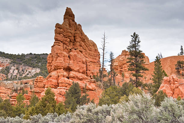 istock Sagebrush, Pine Forest and Red Rock Formations 159206808