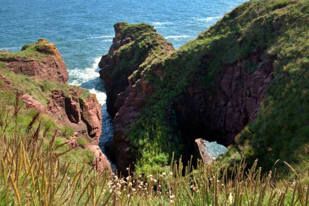 Airbroth Rocks 30+ Arbroath Cliffs Photos Stock Photos, Pictures & Royalty-Free Images ...