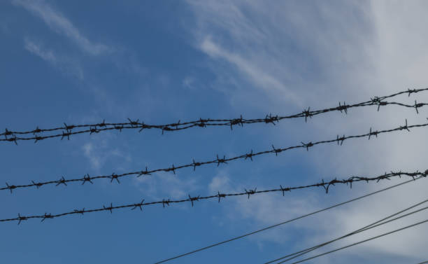 istock silhouette of barbed wire 1592095577