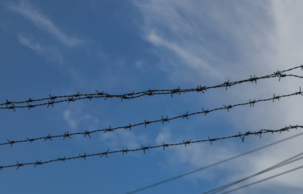 istock silhouette of barbed wire 1592095579