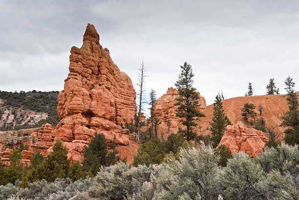 istock Sagebrush, Pine Forest and Red Rock Formations 159210044