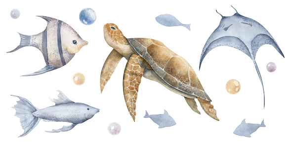 istock Sea Animals with turtle and Fishes. Hand drawn set of watercolor illustrations with manta Ray and tortoise on isolated background. Drawing with marine fauna for design in nautical style 1592125381
