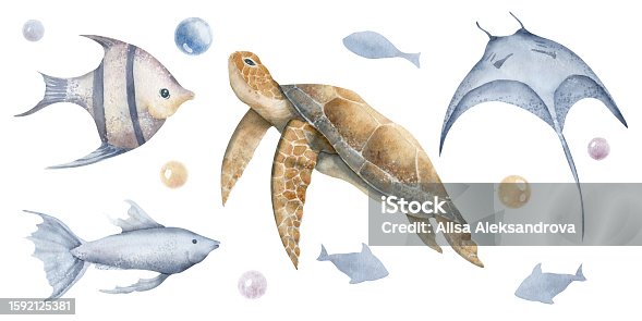 istock Sea Animals with turtle and Fishes. Hand drawn set of watercolor illustrations with manta Ray and tortoise on isolated background. Drawing with marine fauna for design in nautical style 1592125381