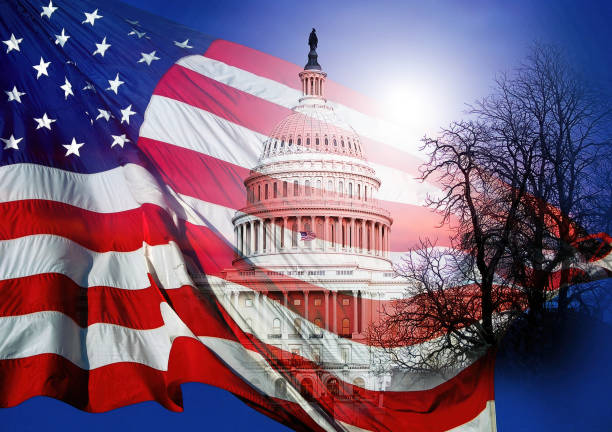 istock Power in government 1592133753