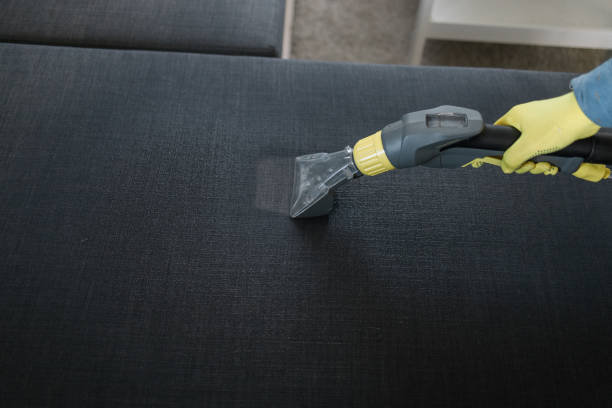 istock Man in protective rubber glove cleaning sofa with professionally extraction method with washing vacuum cleaner. Early spring regular cleanup. Commercial cleaning company concept 1592200069