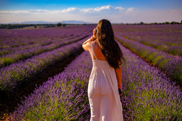 istock A young woman walks through the lavender fields at sunset 1592202778