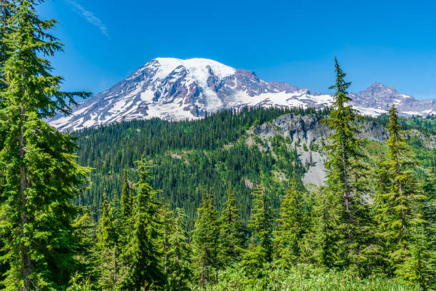istock Mount Rainier In Summer 9 1592221291