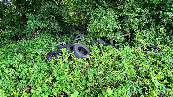 Abandoned Rubber Tires in a Heavily Wooded Area