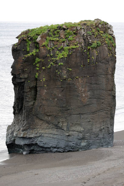 Laekjavik, Iceland: - Coastal landscape at the atlantic ocean on Iceland