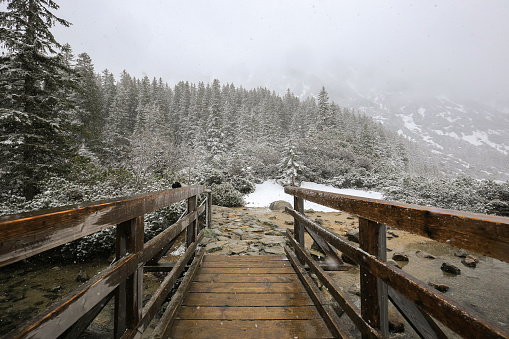 Wooden bridge over the river in the winter forest