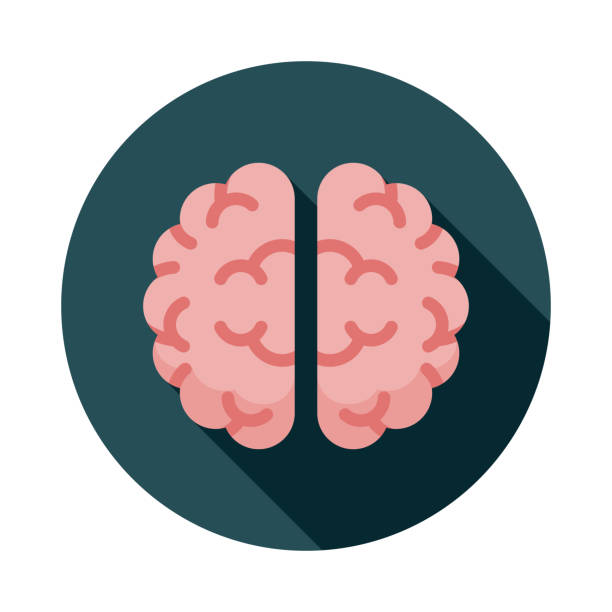 Artificial Intelligence AI Icon A flat design icon representing artificial intelligence (AI). Color swatches are global so it’s easy to edit and change the colors. flowchart symbols programming stock illustrations