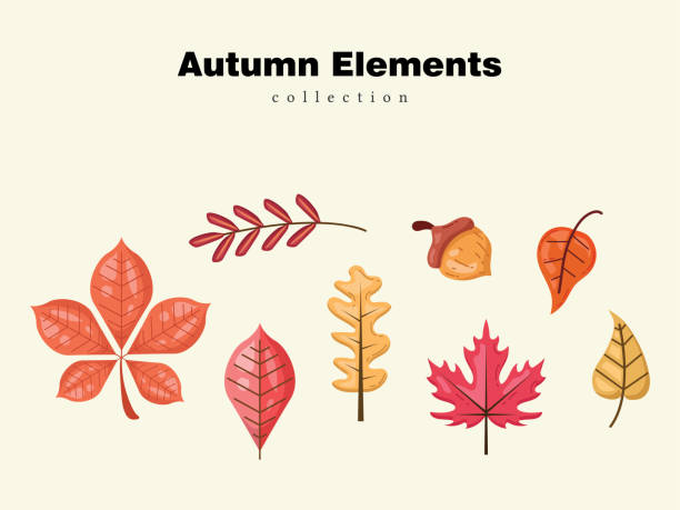 jesień wektorowa wzór tapety bezszwowy element kwiatowe tło zbiór liść tkanina klon kanada - thanksgiving maple leaf abstract autumn stock illustrations