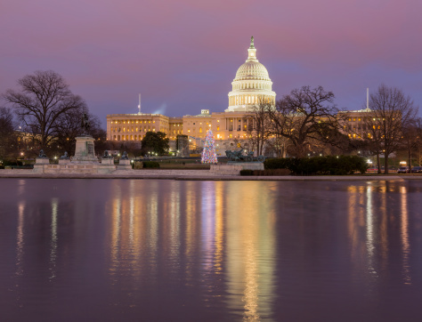 Christmas tree in early evening as sun setting over Washington DC