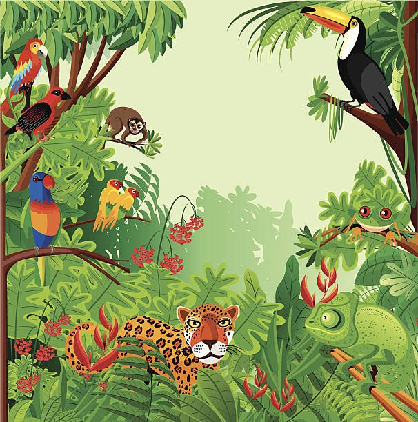 ilustraciones, imágenes clip art, dibujos animados e iconos de stock de selva tropical - cartoon monkey animal tree