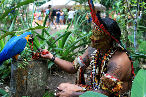 porto seguro, bahia, brazil - august 1, 2023: Etina Pataxo Indians seen during the Aragwaka festival in the Jaqueira village in the city of Porto Seguro.