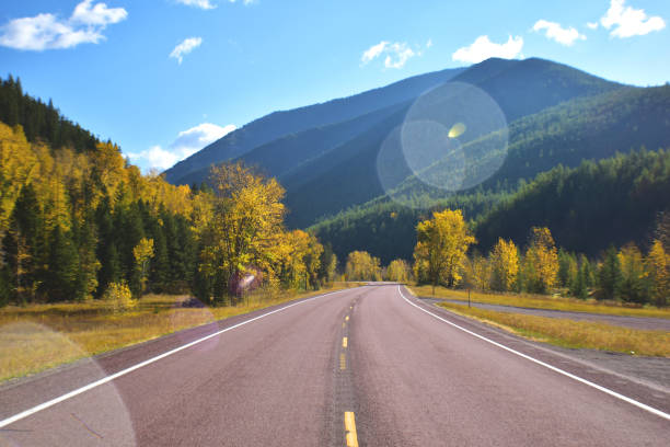 Lens flare along the road through Glacier National Park.
