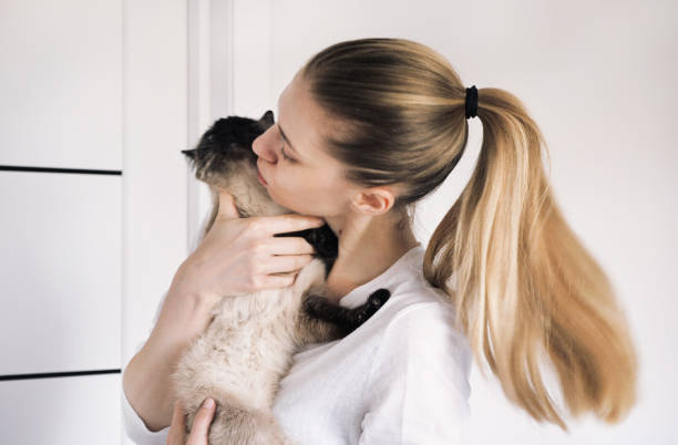istock Happy cat At Home With Their Owner 1592333701