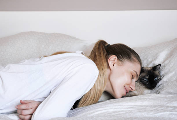istock Happy cat At Home With Their Owner 1592333722