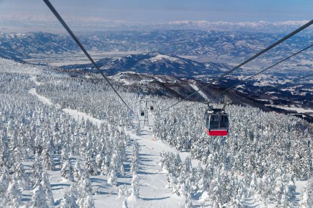 a scenic cable car flying over a piste in zao hot spring & ski resort with a view of juhyo (ice trees or snow monsters) all over the slope under blue clear sky on a sunny winter day in yamagata, japan - prefeitura de yamagata imagens e fotografias de stock