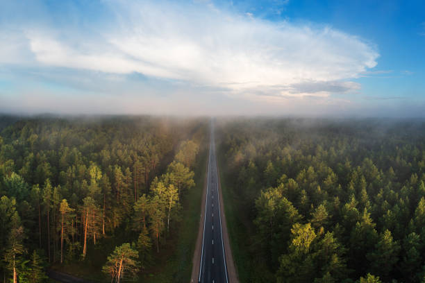 istock Forest at sunrise in Kemeri, Latvia 1592401716