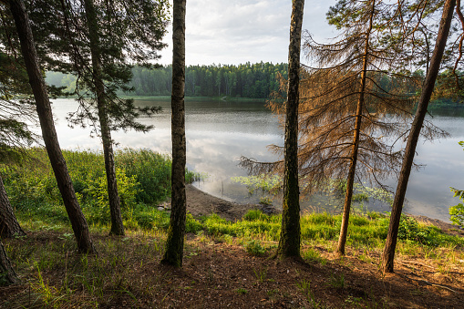 Lake at sunrise